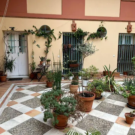 180 Precioso Con Patio San Bernardo 4